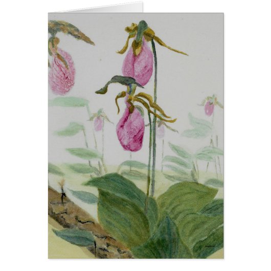 Lady Slippers Cards (Front)