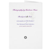 Lady Slippers grow where fairies once slept. Card (Back)