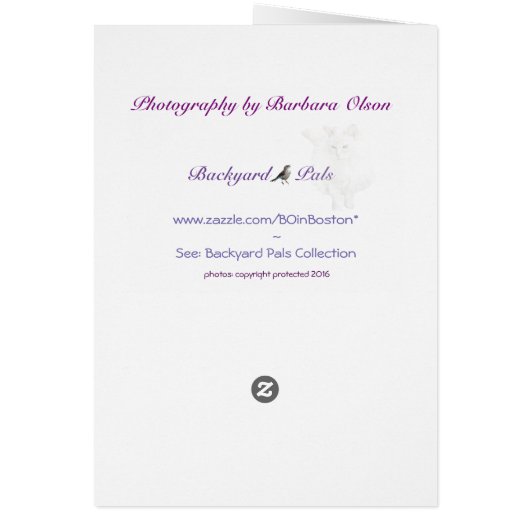 Lady Slippers grow where fairies once slept. Card (Back)