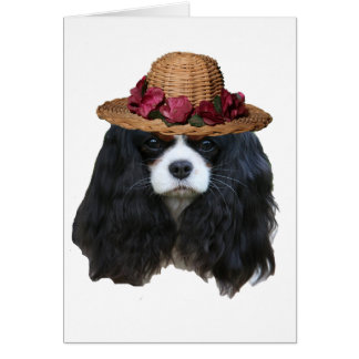 Lady Tansy Cards