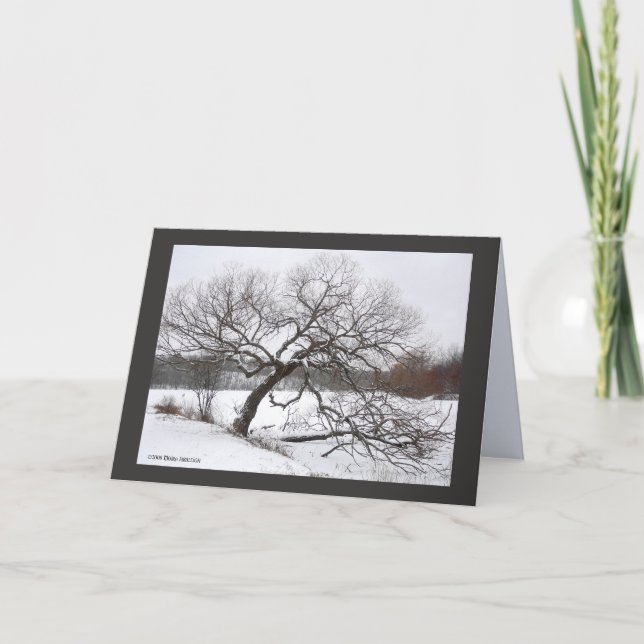 Lady Willow's Winter Card (Front)