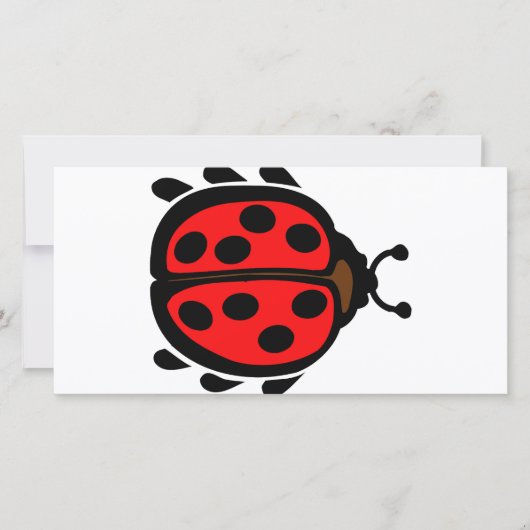 Ladybird (Front)