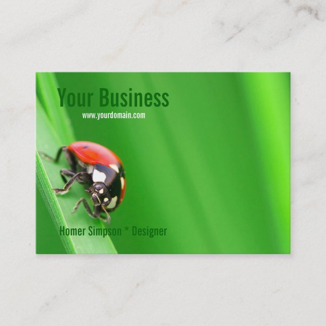 Ladybird Business Card (Front)