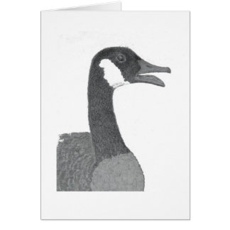 Ladybird Cards