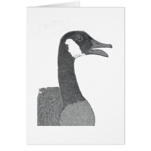 Ladybird Cards (Front)