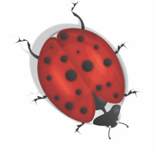 ladybird cutout