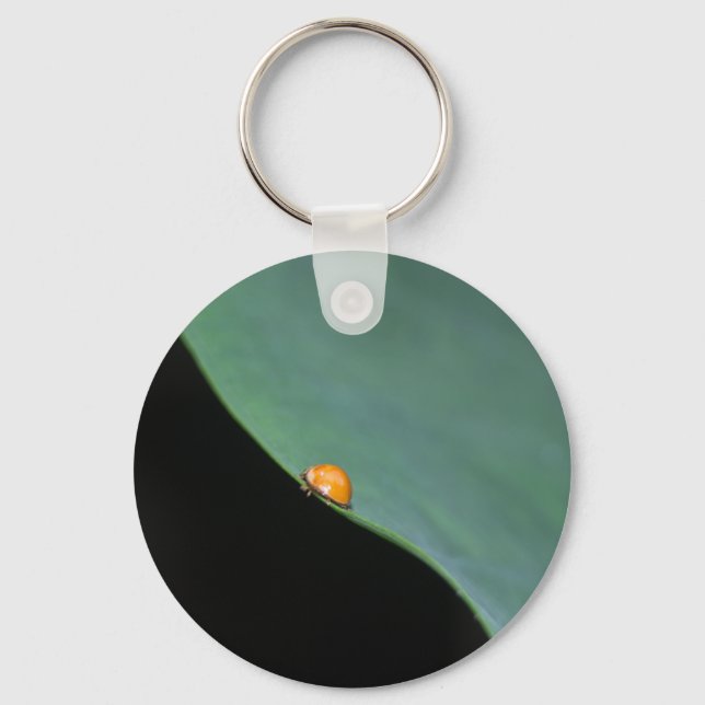 Ladybird Keychain (Front)