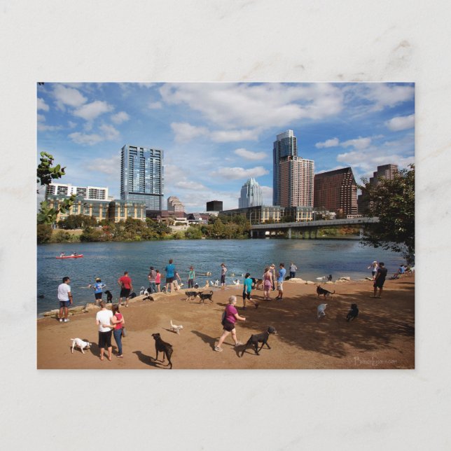 Ladybird Lake Dog Park Austin Texas Skyline Postcard (Front)
