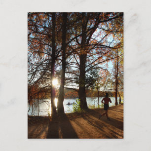 Ladybird Lake Running Trail - Austin, Texas Postcard