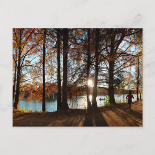 Ladybird Lake Running Trail - Austin, Texas Postcard