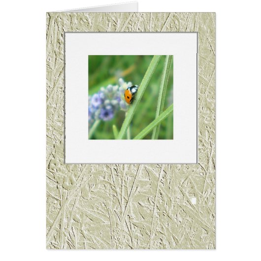 Ladybird on a stalk (Front)