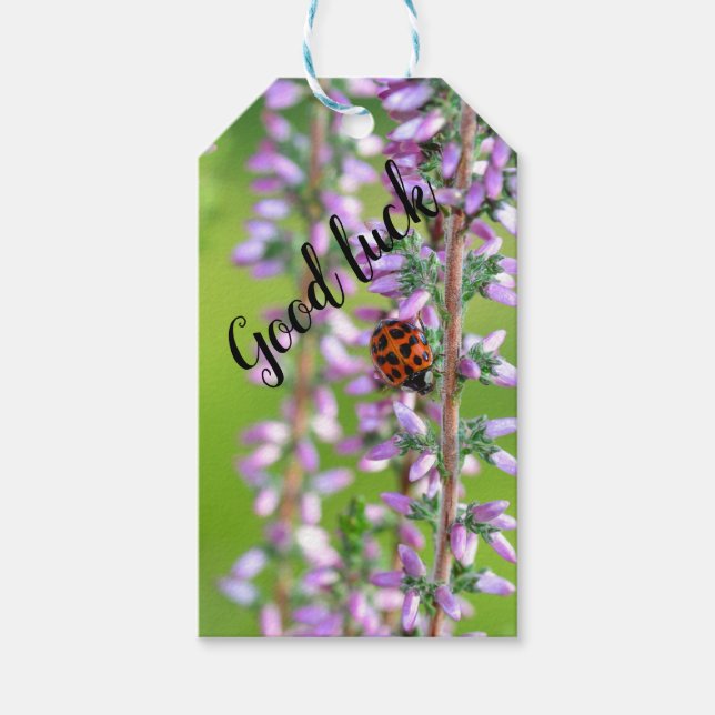 Ladybird on flower   -    gift tags (Front)