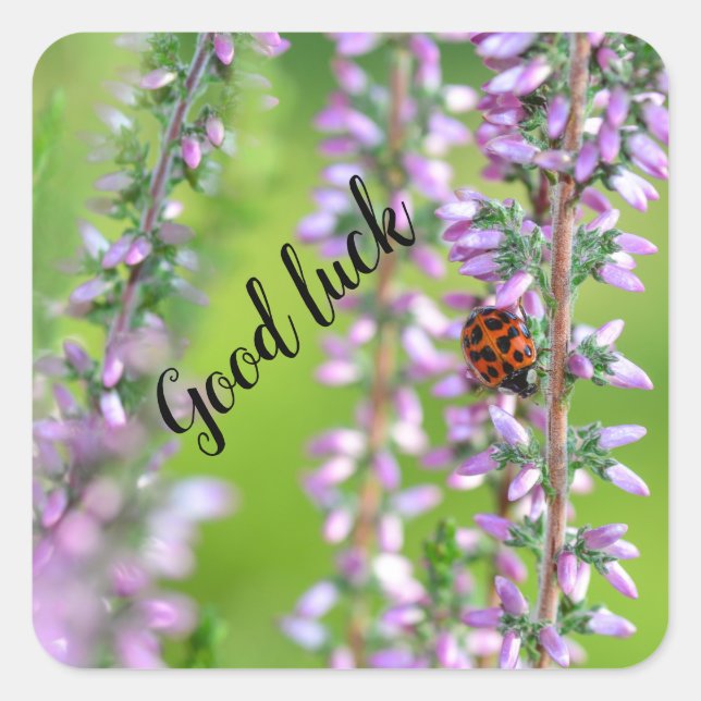 Ladybird on flower   -    square sticker (Front)