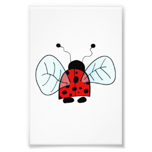 Ladybird Photo Print