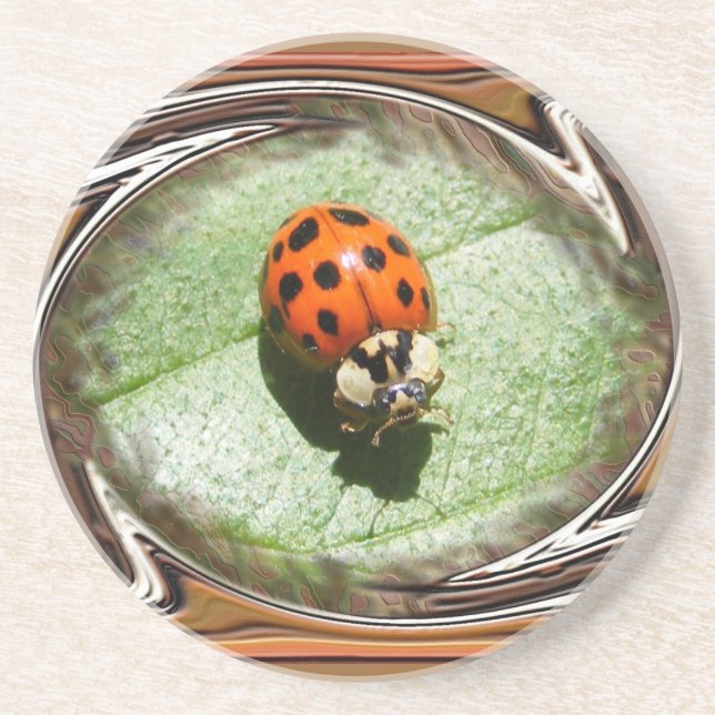 Ladybug 187 ~ coaster (Front)