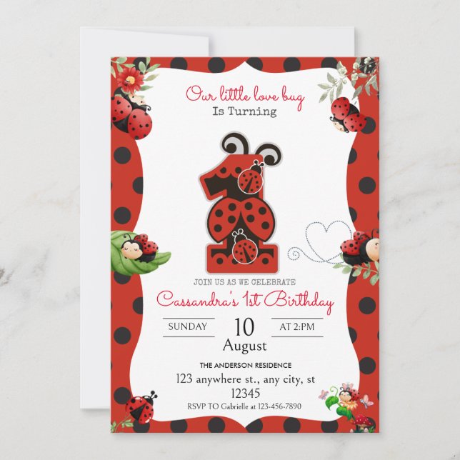 Ladybug 1st Birthday Party Invitation (Front)