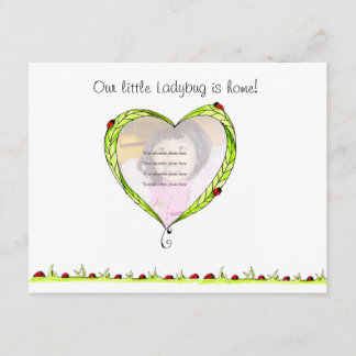 Ladybug Adoption announcement