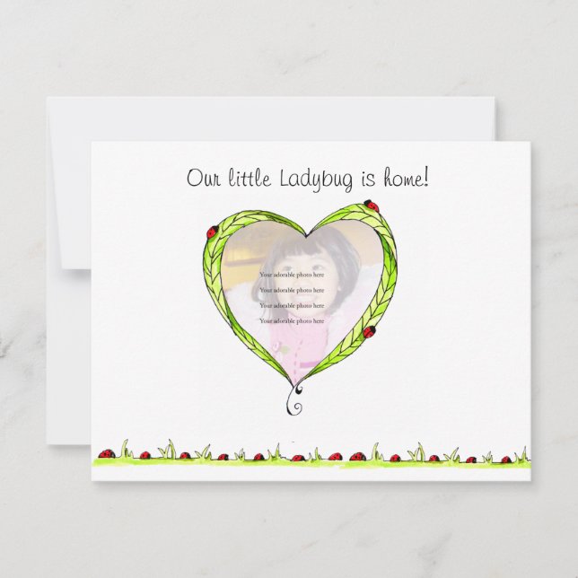 Ladybug Adoption announcement (Front)