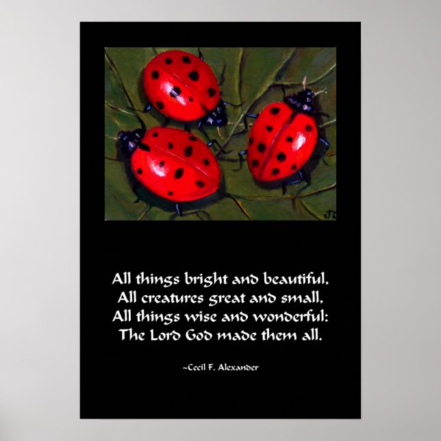 LADYBUG ALL THINGS BRIGHT POSTER (Front)