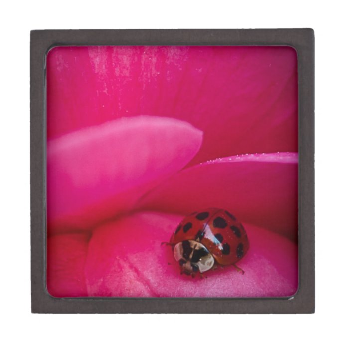 Ladybug Among the Petals Premium Gift Boxes