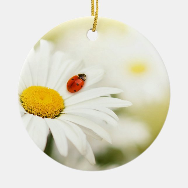 Ladybug and a Daisy Ceramic Ornament (Front)