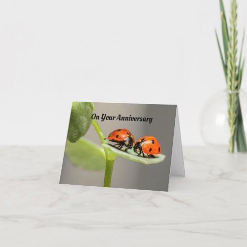 Ladybug Anniversary Greeting Card