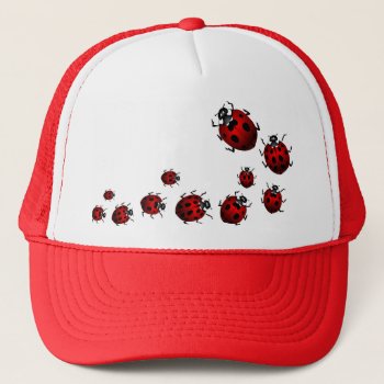 Ladybug  Art Caps Hats Ladybug Wildlife Art Hat by artist_kim_hunter at Zazzle