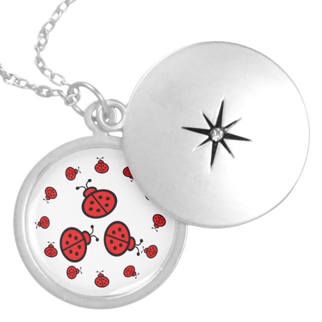 Ladybug Art Gifts Locket Necklace (Front)