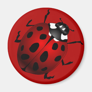 Ladybug Art Magnet Ladybird Ladybug Fridge Magnets