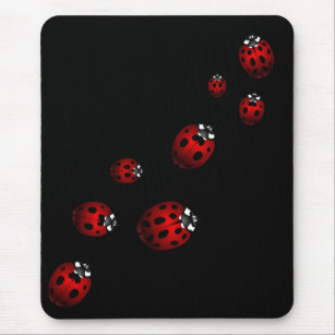 ladybird presents