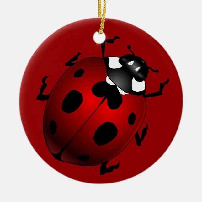Ladybug Art Ornament Bug Keepsake Ladybug Gifts (Front)