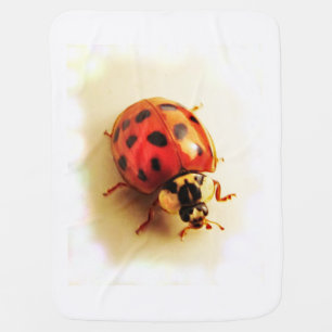 Ladybug Baby Blanket