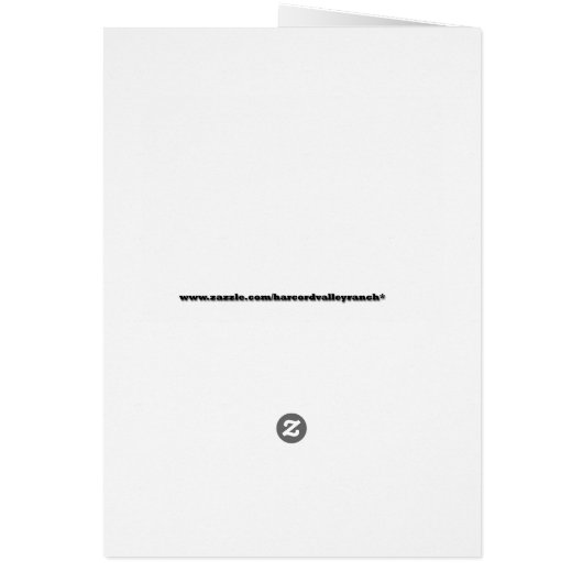 Ladybug Birthday (Back)