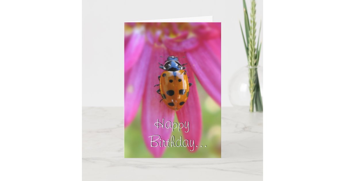 Ladybug Birthday Card | Zazzle