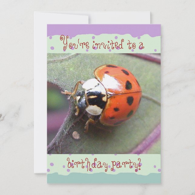 Ladybug Birthday Invitation (Front)