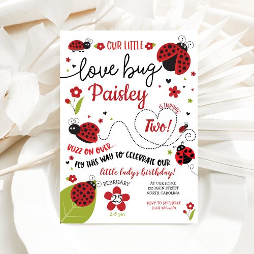 Ladybug Birthday Invitation Lady Love Bug Invite