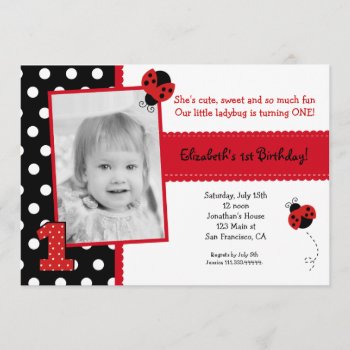 Ladybug Birthday Party Invitations by Petit_Prints at Zazzle