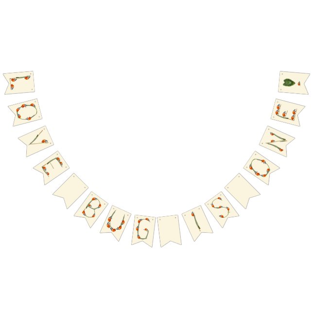 Ladybug Birthday Party - One year old 1st Birthday Bunting Flags (All)