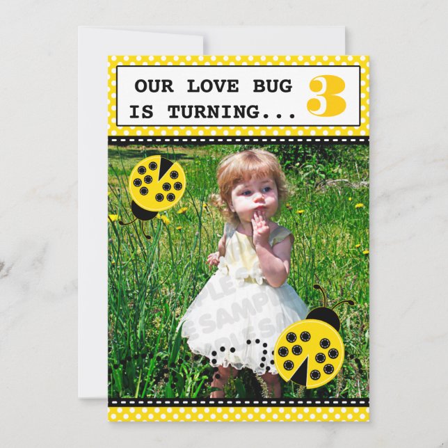 Ladybug Birthday Party Photo Invitations (Front)