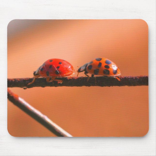 Ladybug Buddies Nature  Mouse Pad (Front)