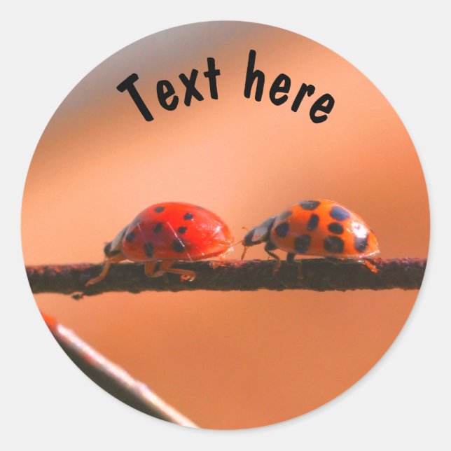 Ladybug Buddies Nature Personalized Classic Round Sticker (Front)