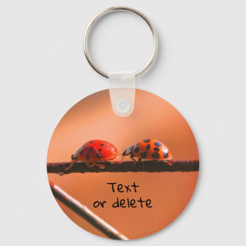 Ladybug Buddies Nature Personalized Keychain