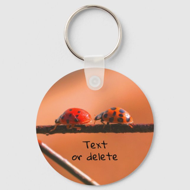 Ladybug Buddies Nature Personalized Keychain (Front)