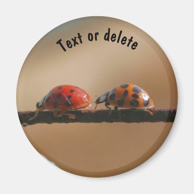 Ladybug Buddies Nature Personalized Magnet (Front)