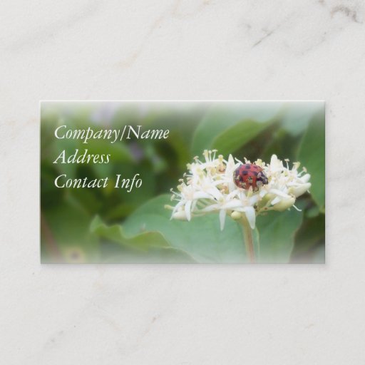 Customizable LadyBug Business Card Template