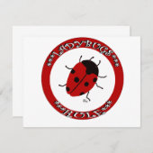 Ladybug button (Front/Back)