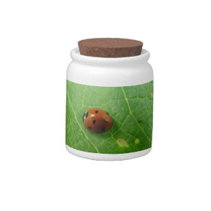 Ladybug Candy Jar