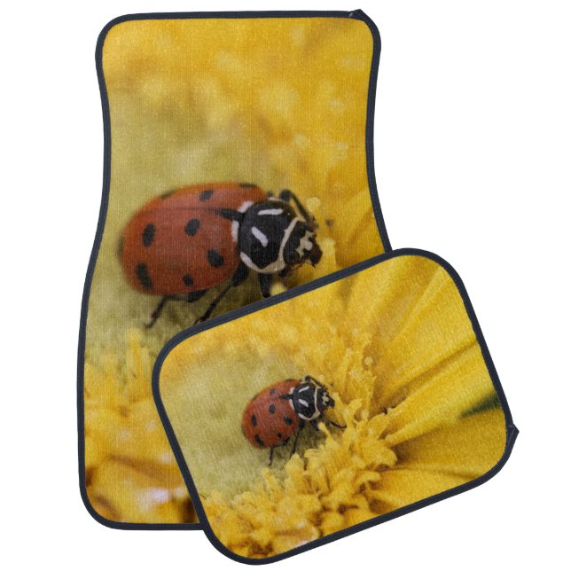 Ladybug car mats (Set)