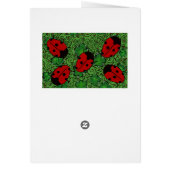 Ladybug Cards (Back)
