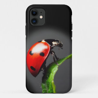 Ladybug iPhone 11 Case